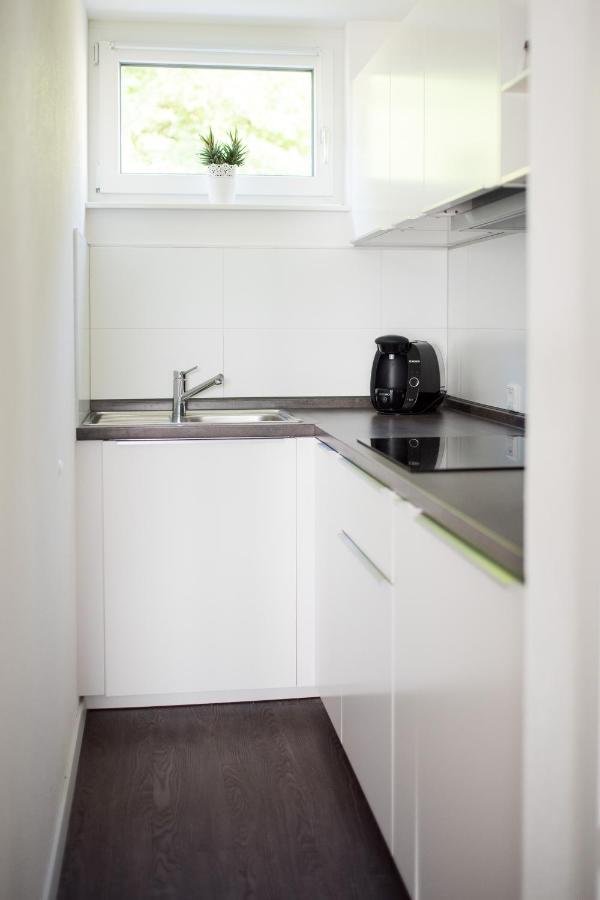 Keller Apartment Sulz am Neckar Εξωτερικό φωτογραφία
